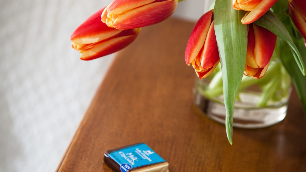 Photo of Bedroom in Sugar Hill