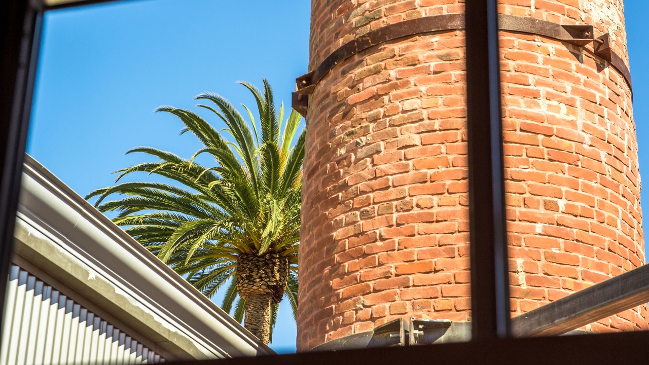 Photo of Outdoor in Petaluma