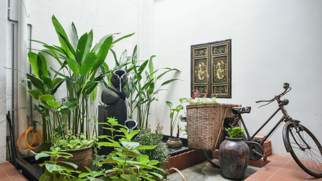 Photo of Outdoor in Kampung Jawa