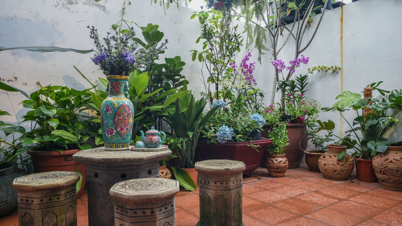 Photo of Outdoor in Kampung Jawa