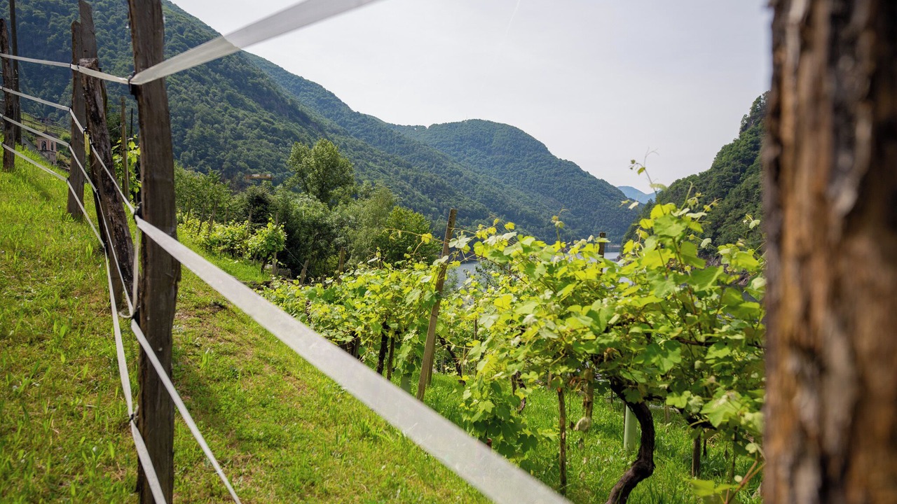 Photo of Outdoor in Vogorno