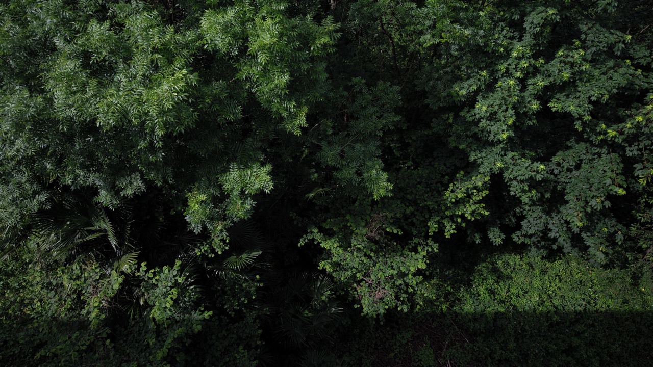 Photo of Outdoor in Vogorno