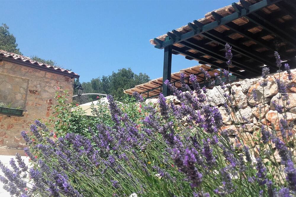 Photo of Outdoor in Stari Grad