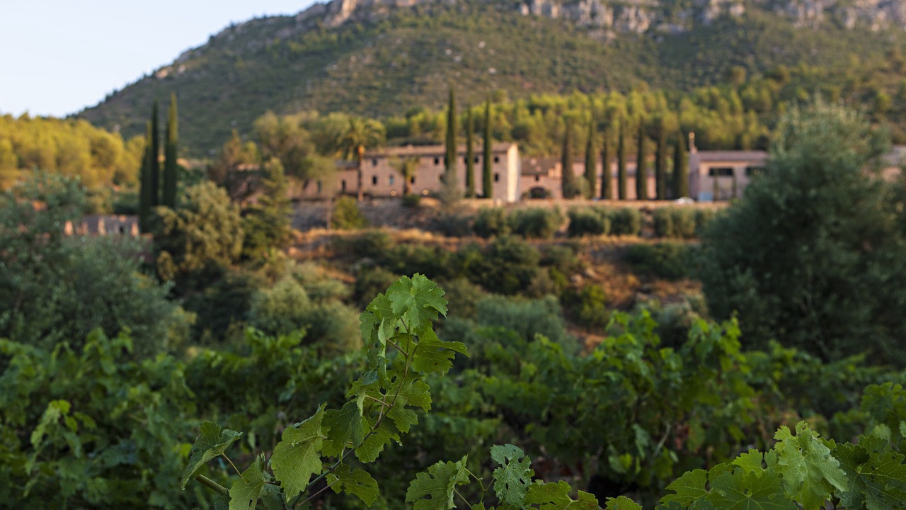 Photo of Outdoor in La Morera de Montsant