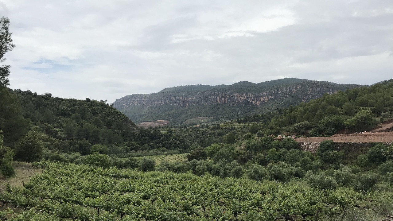 Photo of Others in La Morera de Montsant