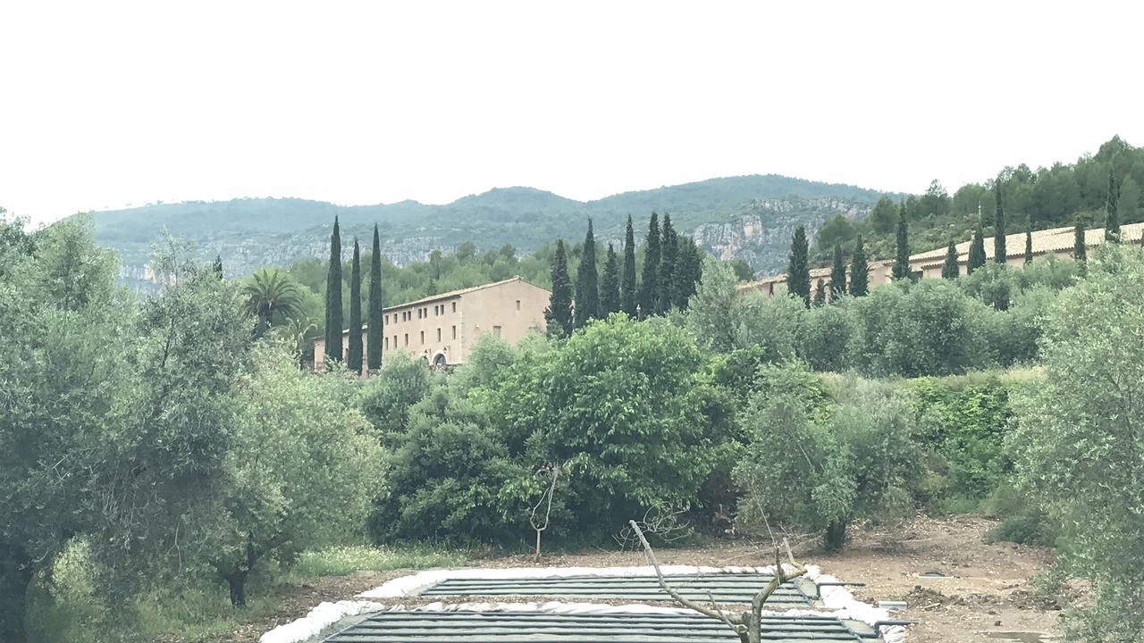 Photo of Others in La Morera de Montsant