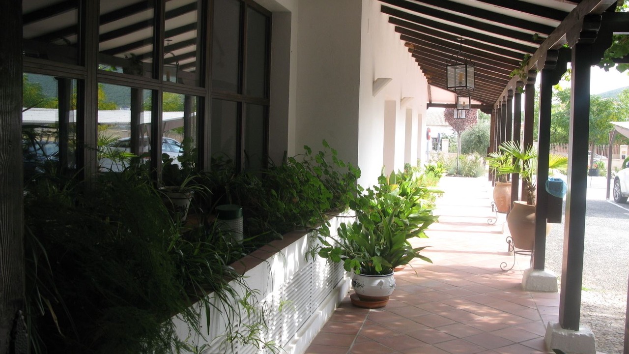 Photo of Outdoor in Puerto Lapice
