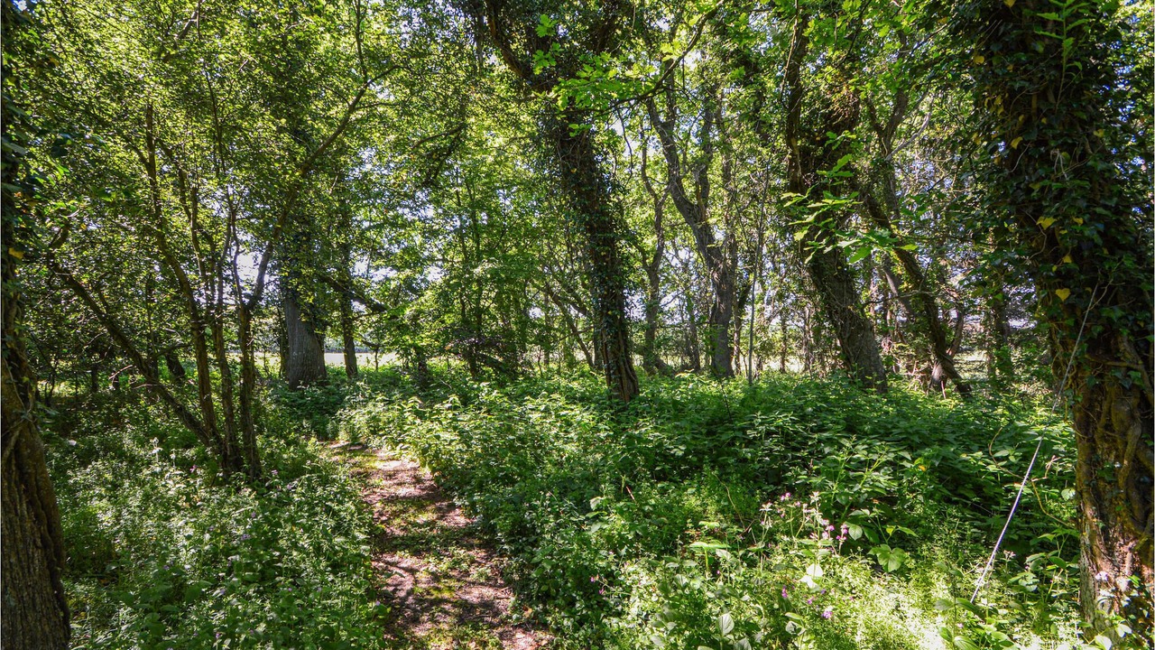 Photo of Outdoor in Skaerbaek