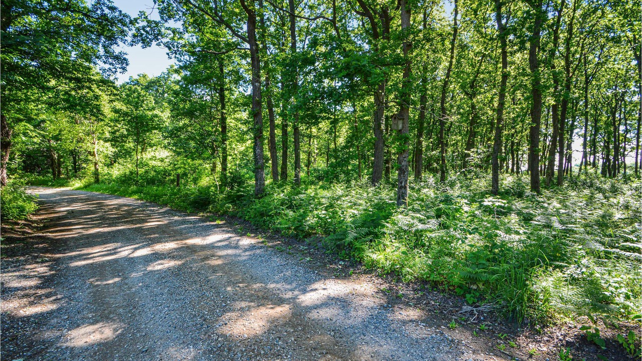 Photo of Outdoor in Skaerbaek