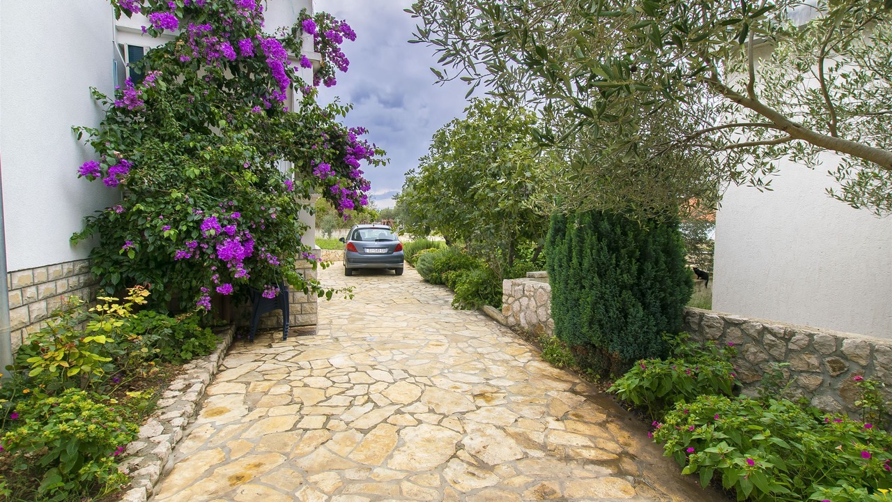 Photo of Outdoor in Susica