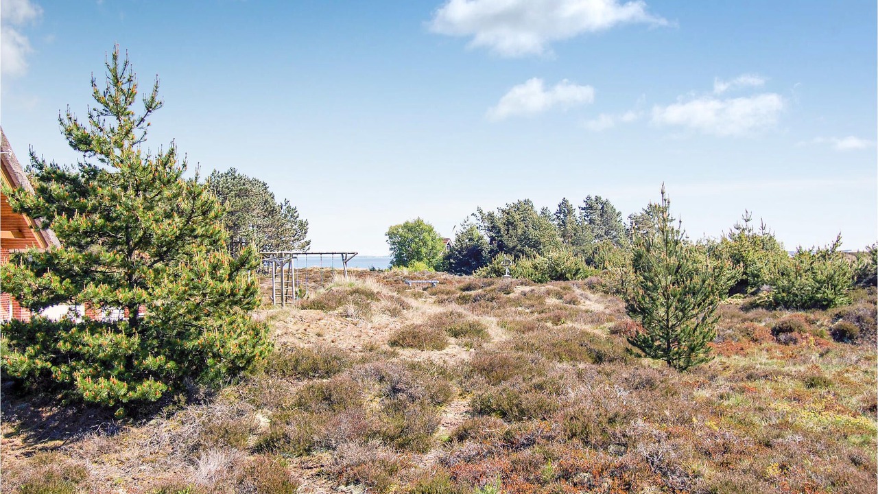 Photo of Outdoor in Rømø Kirkeby
