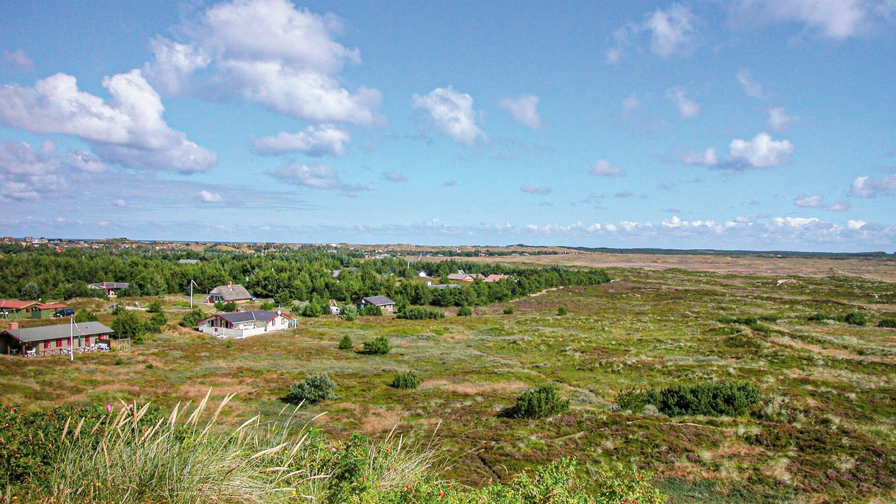 Photo of Others in Henne Strand