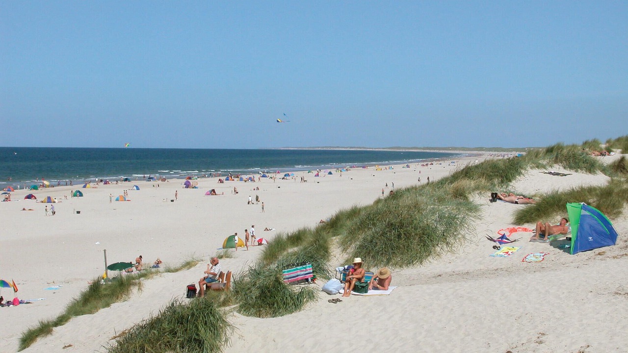 Photo of Others in Henne Strand