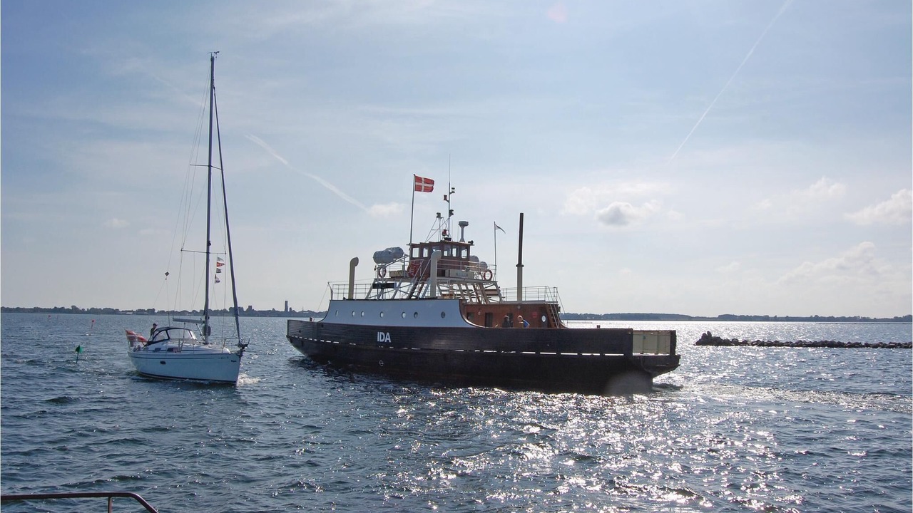 Photo of Outdoor in Bog By