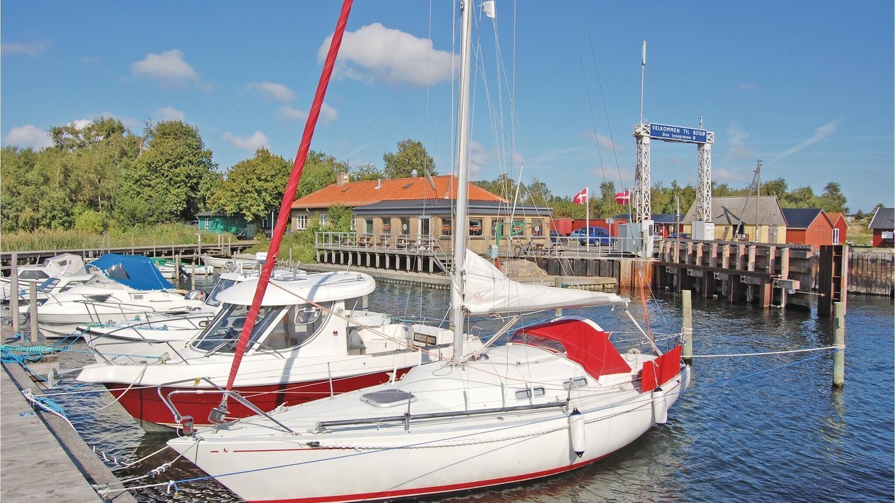 Photo of Others in Bog By