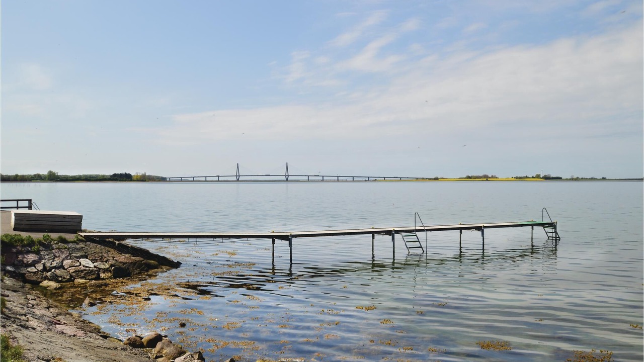 Photo of Outdoor in Bog By