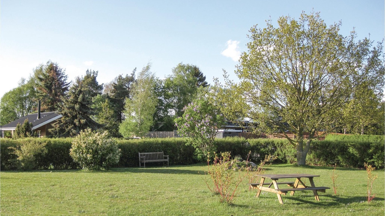 Photo of Outdoor in Bog By