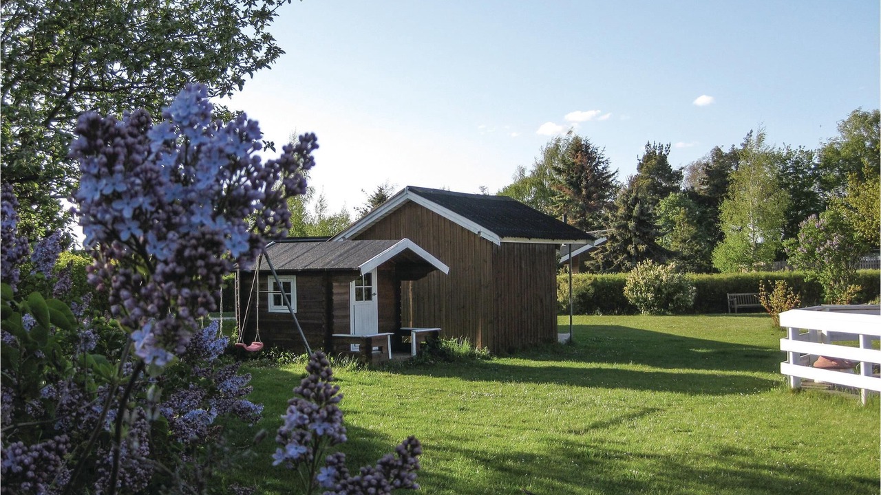 Photo of Outdoor in Bog By