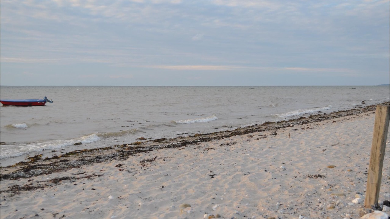 Photo of Others in Skastrup Strand