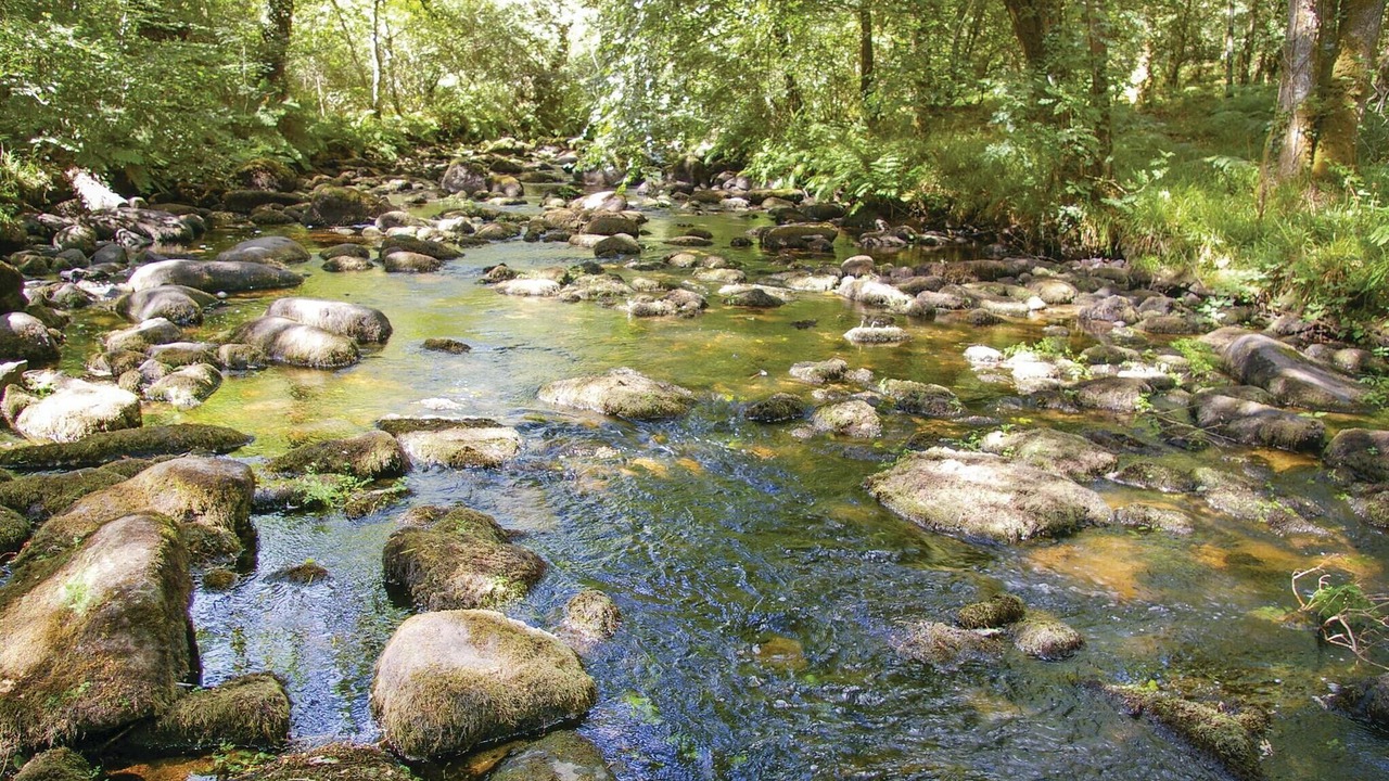 Photo of Others in Le Faouet