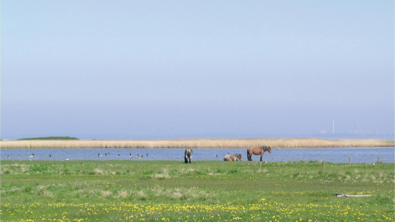 Photo of Others in Reersø