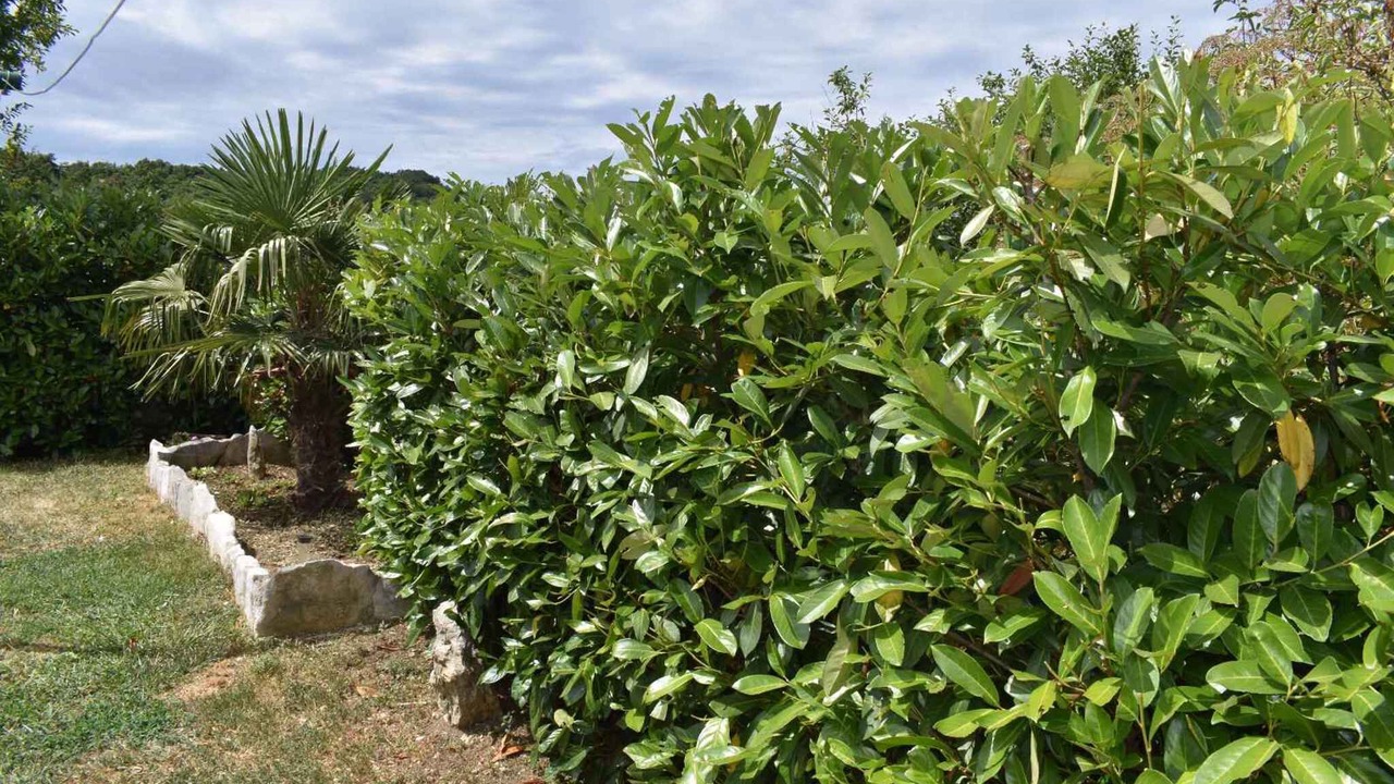 Photo of Outdoor in Ripenda Verbanci