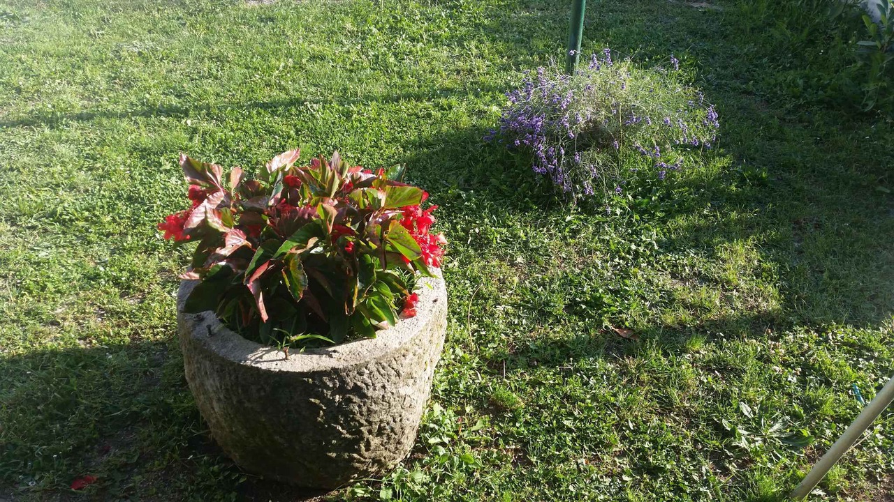 Photo of Outdoor in Ripenda Verbanci