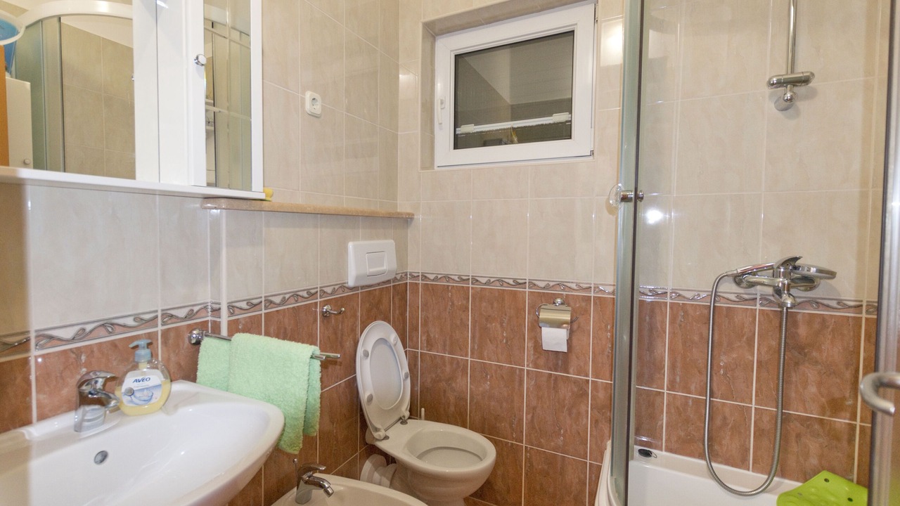 Photo of Bathroom in Donje Selo