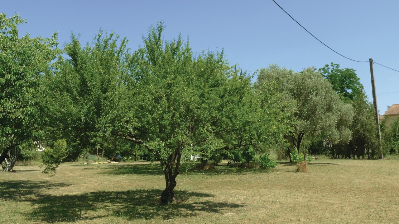 Photo of Others in Saint-Florent-sur-Auzonnet