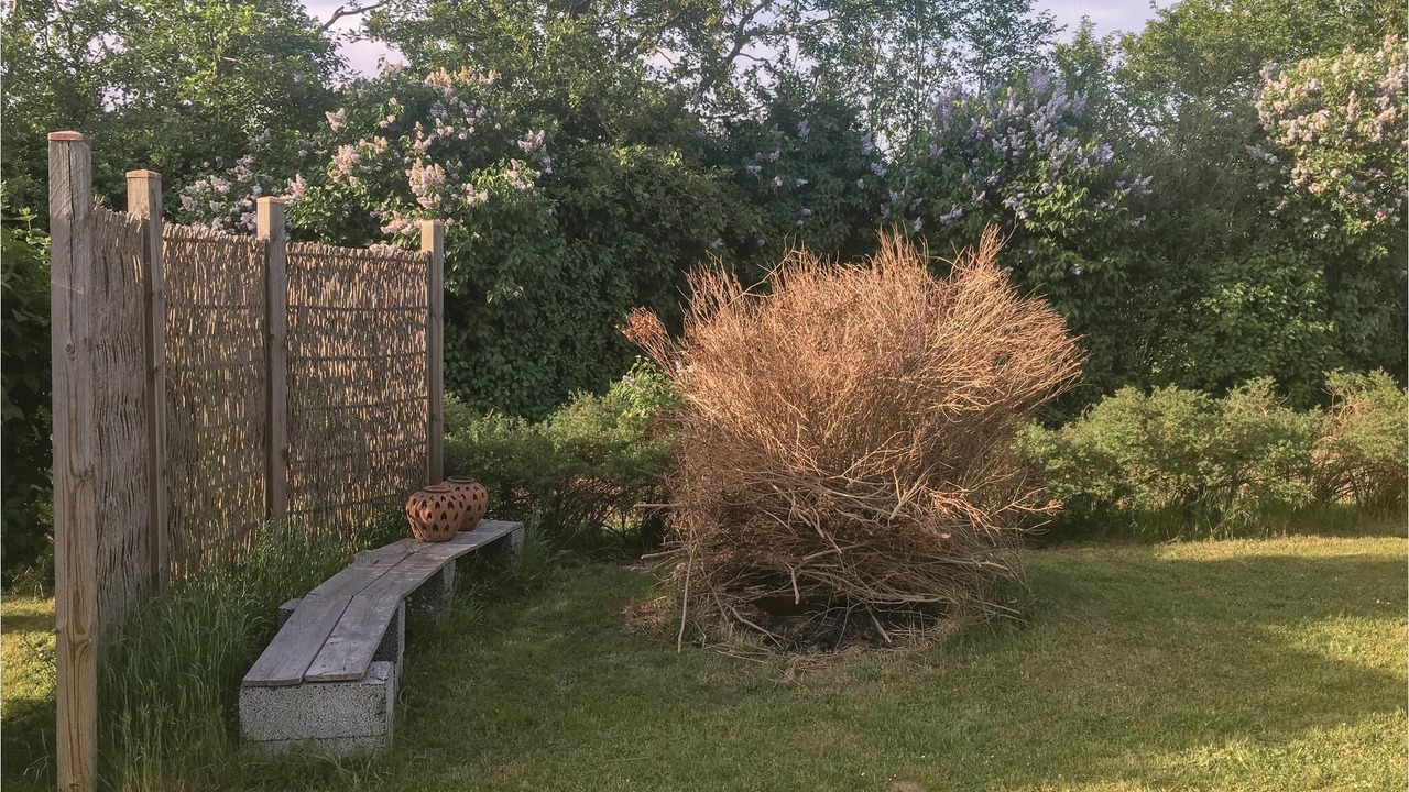 Photo of Outdoor in Vordingborg