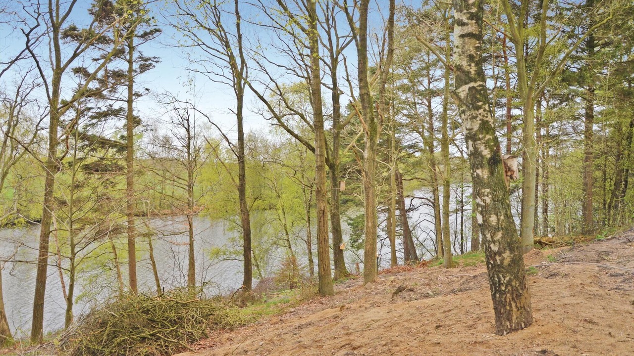 Photo of Others in Brande
