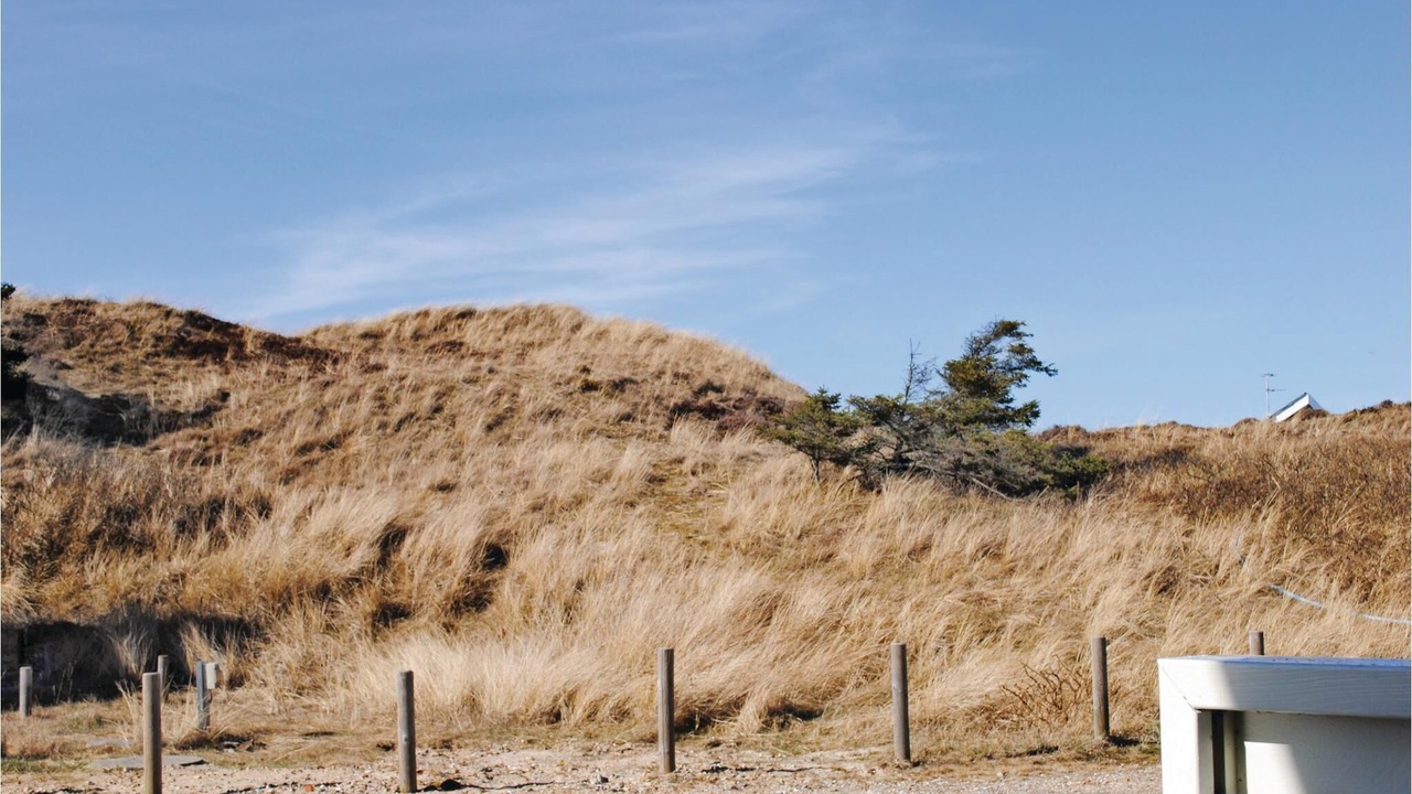 Photo of Others in Hvide Sande