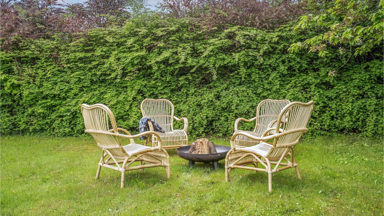 Photo of Outdoor in Bog By