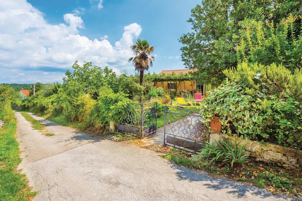 Photo of Outdoor in Rogocana