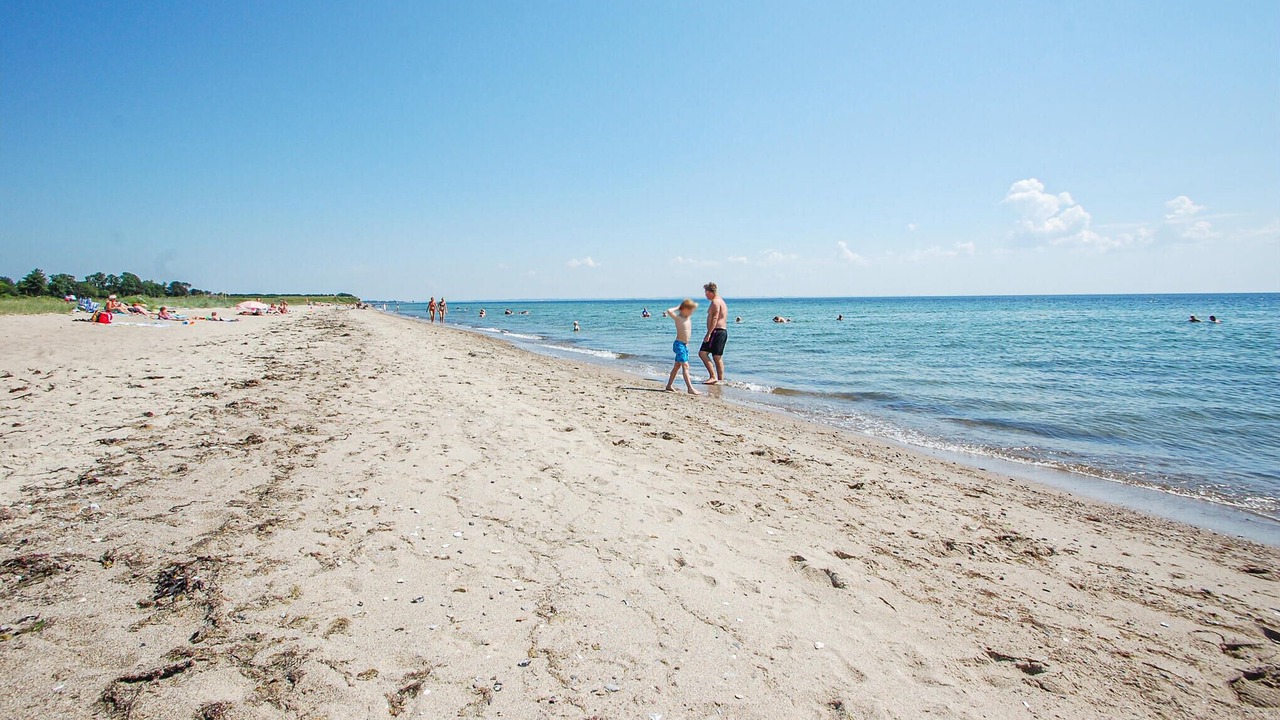 Photo of Others in Flovt Strand
