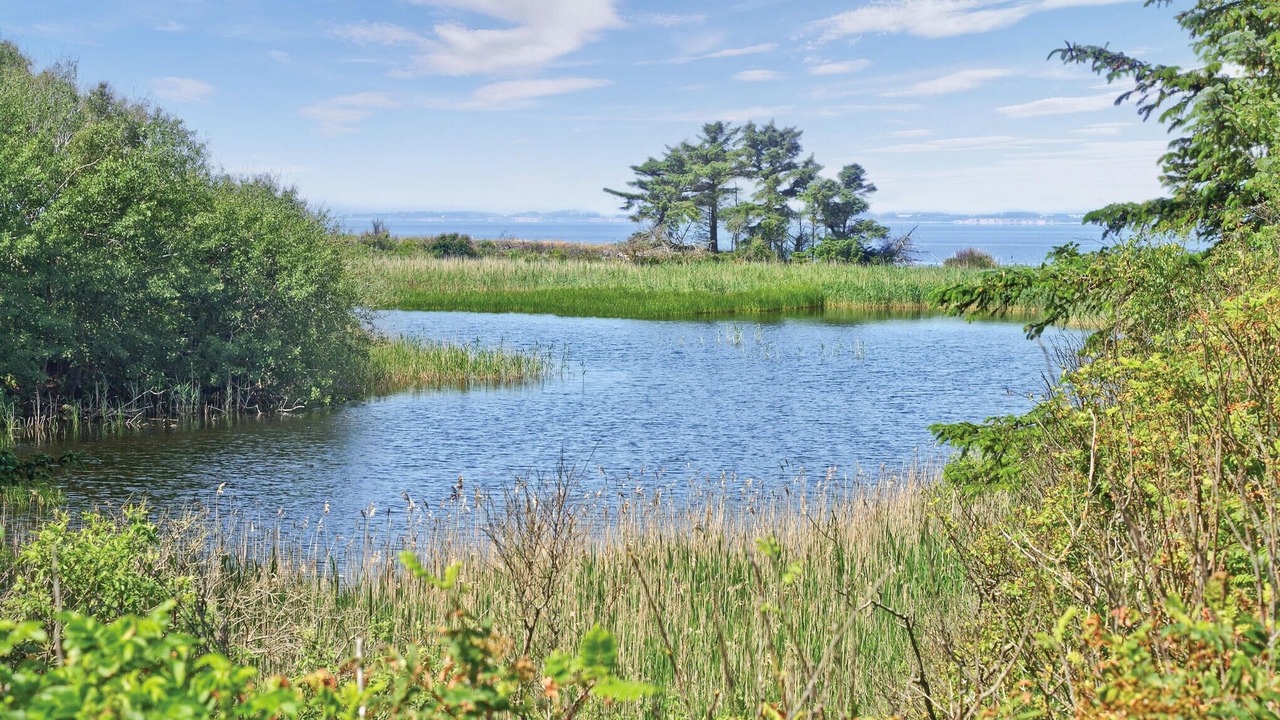 Photo of Outdoor in Spøttrup