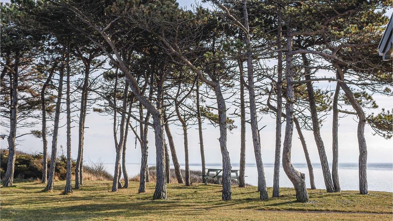 Photo of Outdoor in Fejrup