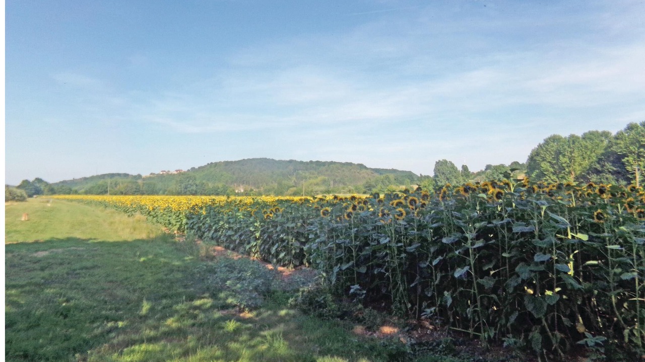 Photo of Outdoor in Limeuil