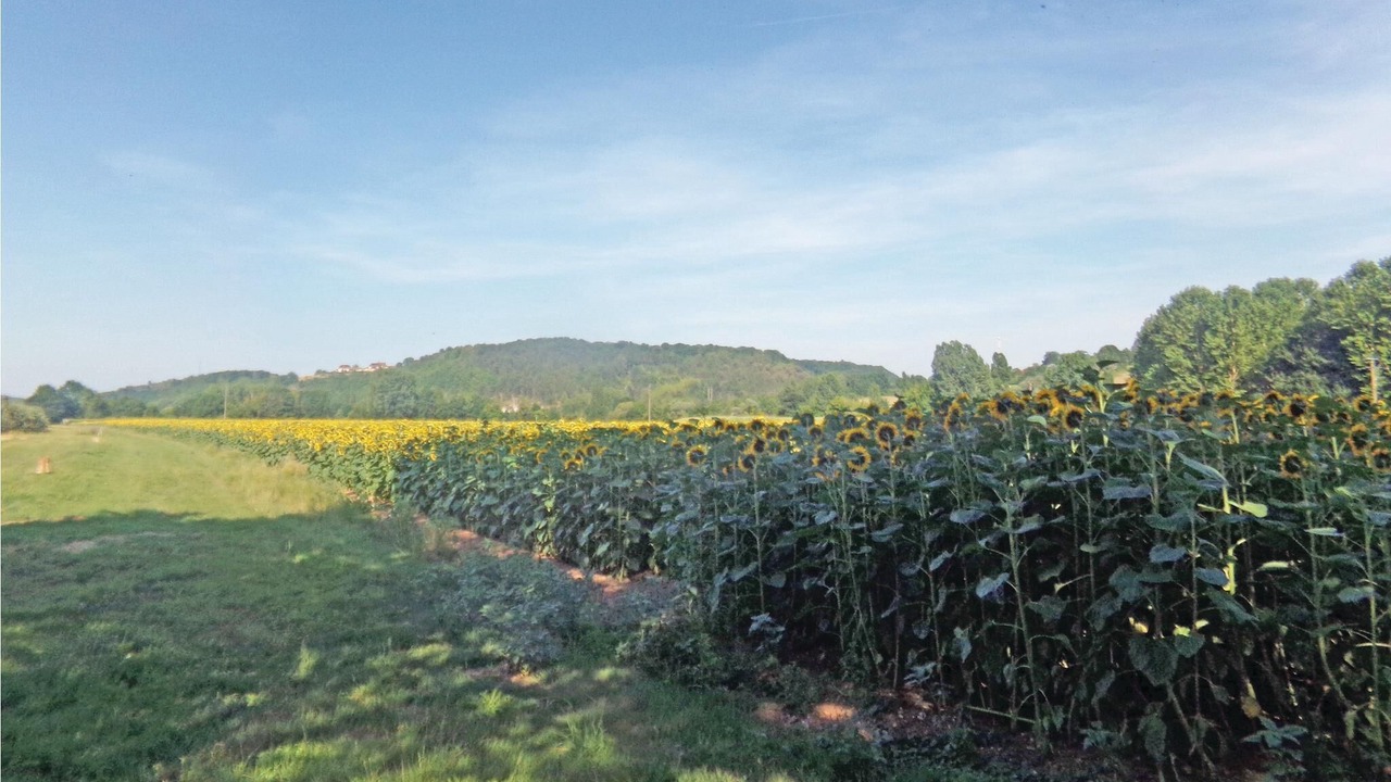 Photo of Outdoor in Limeuil