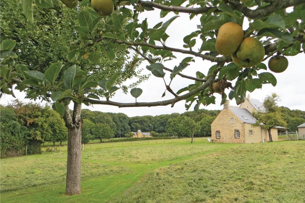 Photo of Outdoor in Rouesse-Vasse