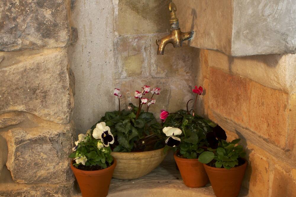 Photo of Bathroom in Verdu