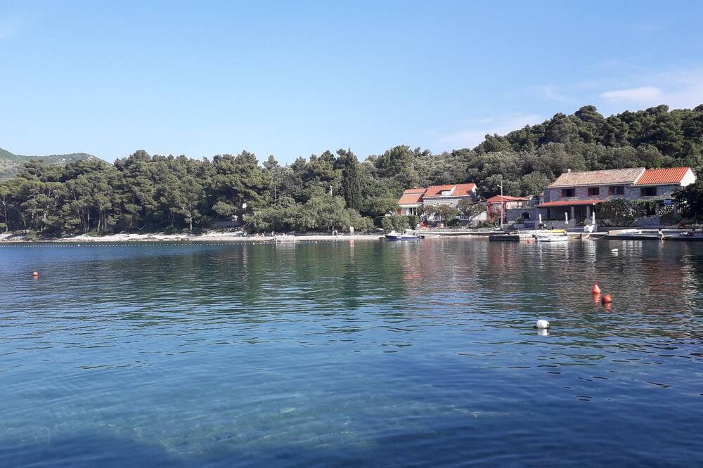 Photo of Others in Zaton