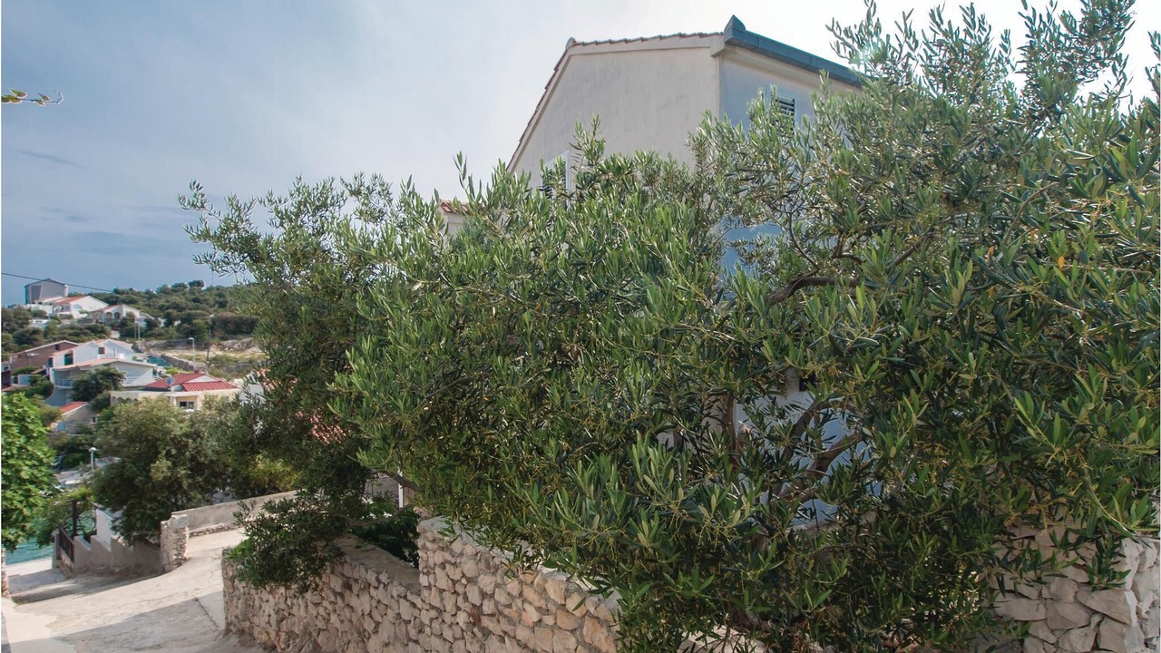 Photo of Outdoor in Dvornica