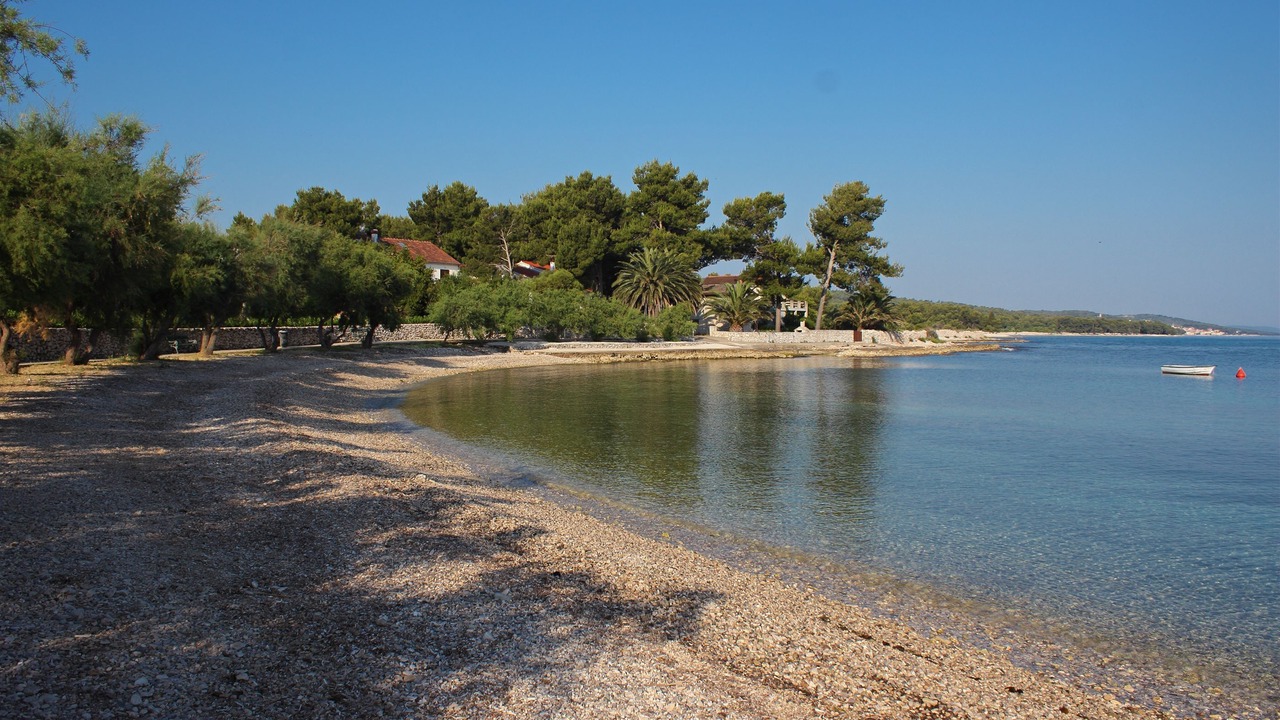 Photo of Others in Mirce