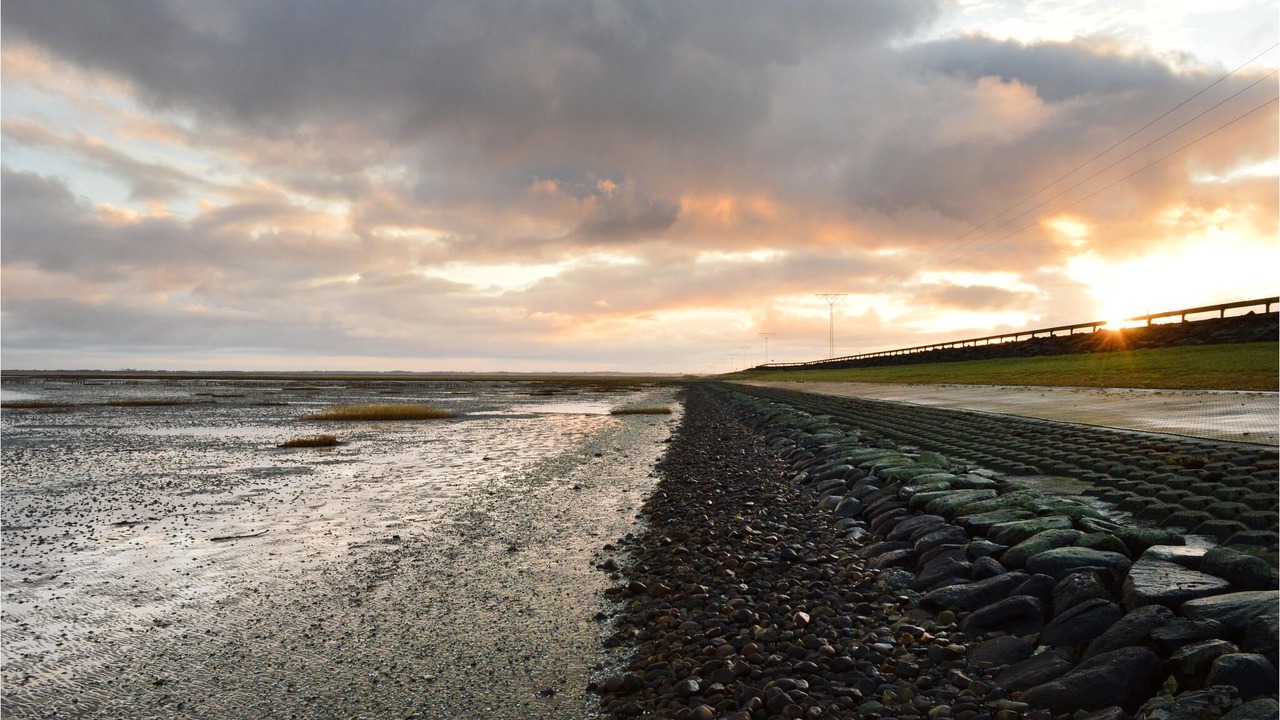 Photo of Others in Kongsmark