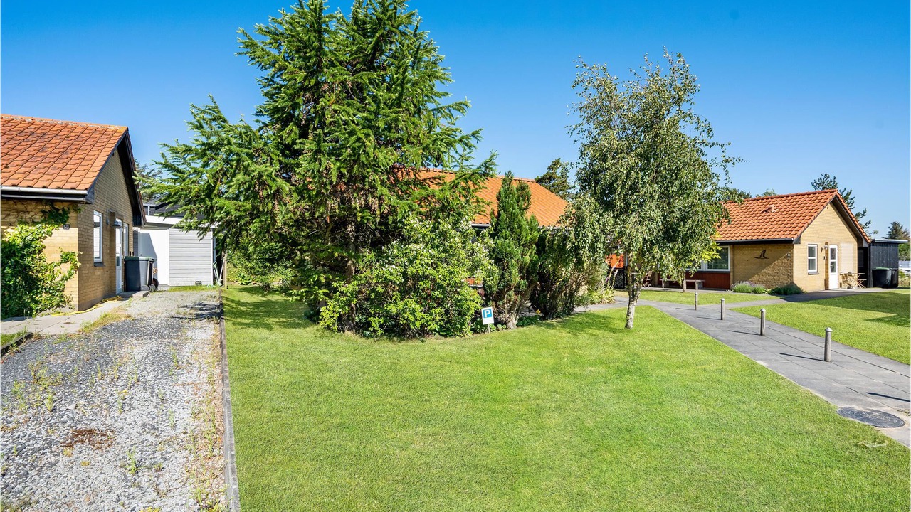 Photo of Outdoor in Nymindegab