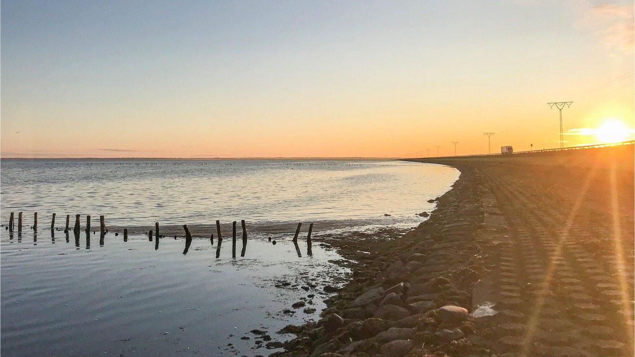 Photo of Others in Rømø Kirkeby