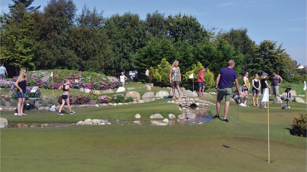 Photo of Others in Lodbjerg Hede