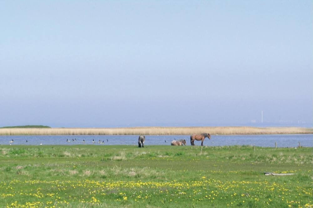 Photo of Others in Kalundborg