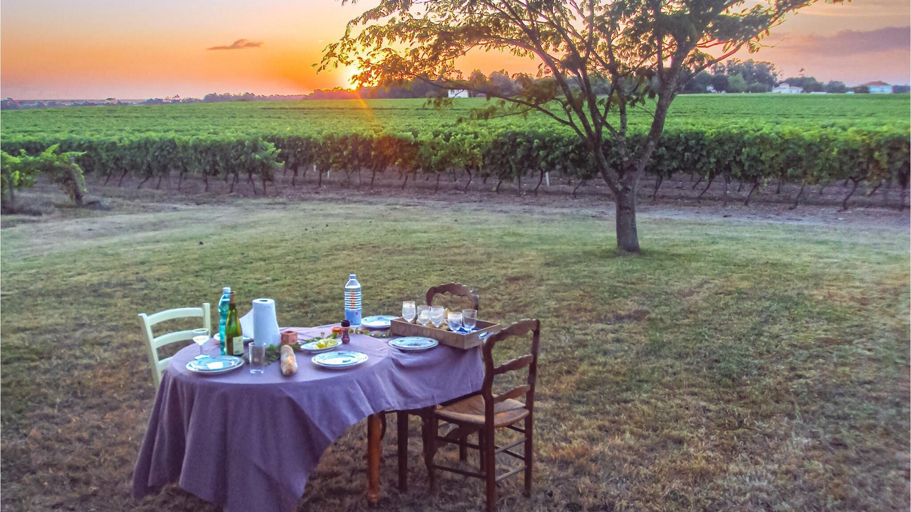 Photo of Others in Saint-Andre-de-Lidon